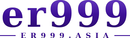er999 logo